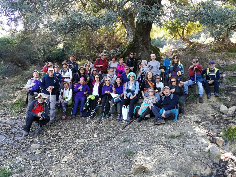 Ruta los cortijos: el álamo, peñón de los toros, caete